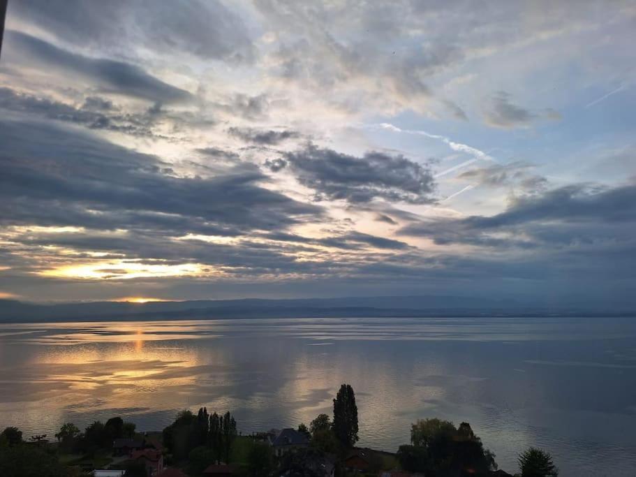 Appartement Avec Vue 180 Sur Le Lac Leman Thonon-les-Bains Buitenkant foto